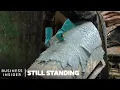 How Animal Hides Are Made Into Parchment At The Last Workshop In The US Still Standing