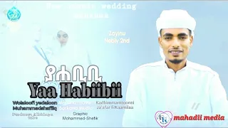 YAA HABIBII New Wedding Manzuma Muhammad Shafiq Alhidaayaa Jama Aa 