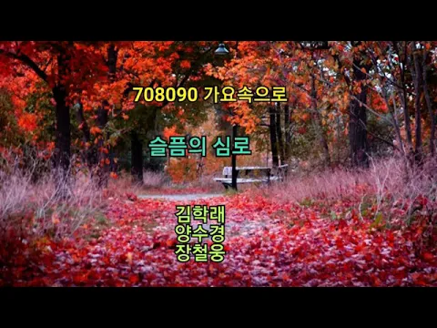 Download MP3 슬픔의 심로 - 김학래,양수경,장철웅