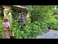 Download Lagu Girl single mom bought the overgrown house for $10,000 to live with her daughter