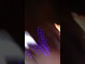 Download Lagu https://www.youtube.com/watch?v=5_Vurg1ZovM