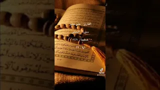 سورة الحشر صفحة ٥٤٨ آية ١٩ القارئ علي جابر 