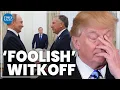 Download Lagu Trump must stand up to Putin after Witkoff embarrassment | Debra Cagan