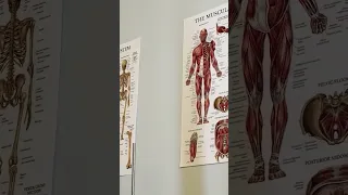  أم خلقوا من غير شيء  دندنها