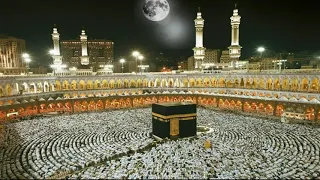 القارئ الشيخ أحمد محمد سلامة سورة البقرة كاملة 4K 