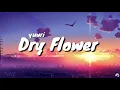 Download Lagu Yuuri - Dry Flower | ドライフラワ | (Lyrics Video)