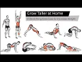 Grow Taller at Home 9 Stretching Exercises to Increase Height