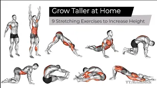 Grow Taller at Home 9 Stretching Exercises to Increase Height