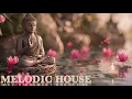 Download Lagu Dj Kameleon - Relaxing Melodic Deep House for studying or long rides