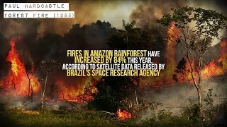 Paul Hardcastle - Forest Fire (1985)