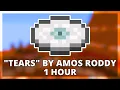 Download Lagu Tears By Amos Roddy | 1 Hour Minecraft 1.21.6 Music Disc