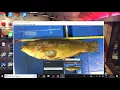 Morphometric walkthrough