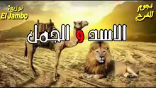 اسد وقال الجمل نفسي اسولك سوالين دندنها
