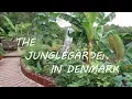 Download Lagu The Jungle Garden - Episode 1 | Garden tour (Zone 7)