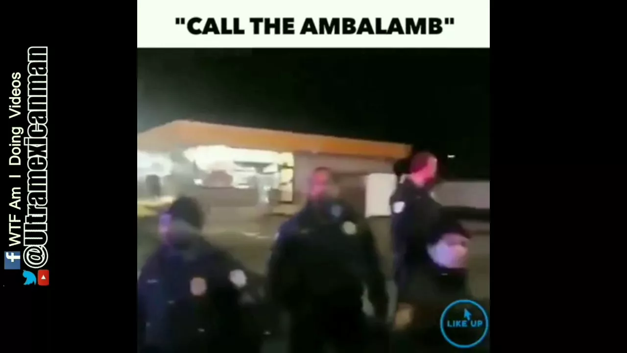 Ambalamb