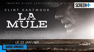 La mule | bande annonce | France 3