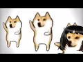 🐶Perritos bailando La Chona🐶