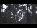 Apartmanlar | Drain Me Out (Official Video)