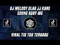Download Lagu DJ MELODY ULAR JJ KANE ADRY WG VIRAL TIK TOK TERBARU 2022