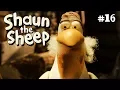 Lagu The Pelican | Shaun the Sheep Season 4 | Full Episode