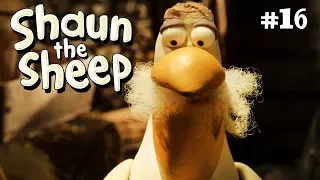 the pelican shaun the sheep season 4 full episode