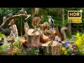 Download Lagu Forest Friends in Summer Serenity: 10 hours Cat \u0026 Dog TV with Chirps and Chatters (4K HDR)