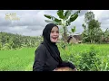 Lagu CANTIK PARASNYA MENAMBAH KEINDAHAN ALAM PEDESAAN II NENG LENI MAMAH MUDA LAGI NGAMBIL LALAPAN KATUK
