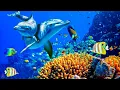 Relaxing Music to Relieve Stress Anxiety and Depression Mind Body Soothing music for nerves