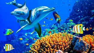 Relaxing Music to Relieve Stress Anxiety and Depression Mind Body Soothing music for nerves