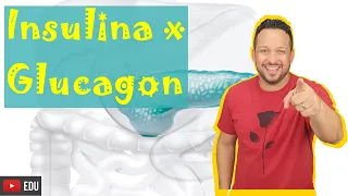 Insulina e Glucagon - Tudo que você precisa saber sobre esses hormônios do Pâncreas! Fisiologia