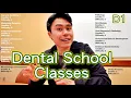 Reviewing all my D1 Dental School Classes First Year at BU Dental