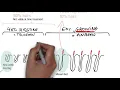 Electrolysis hair removal regrowth time between session and total duration