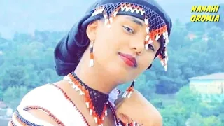 Oromoo Music Abdi Komia Sirba Jaalala Dhugaa Official Audio By NANAHI OROMIA 
