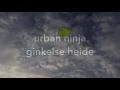 Download Lagu Urban Ninja Ginkelse Heide