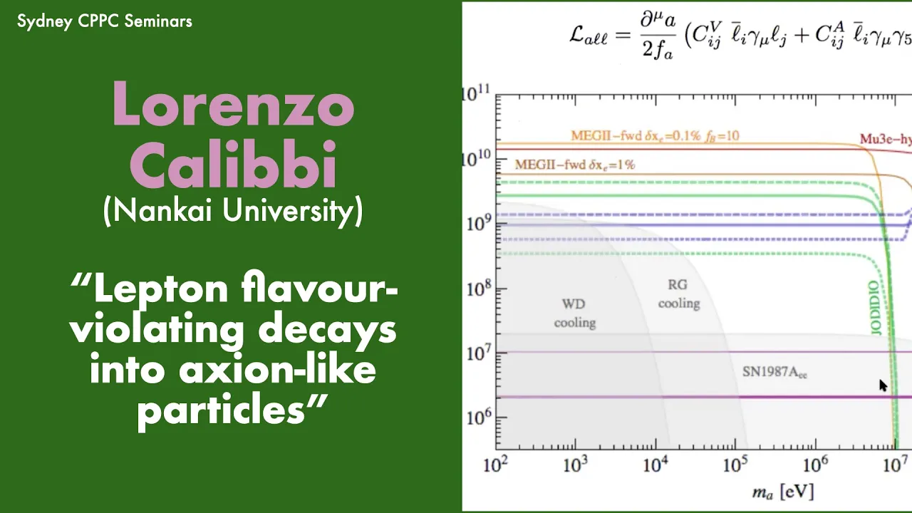 Lorenzo Calibbi (Nankai): Lepton flavour violating decays into axion-like particles