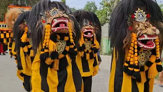 Kirab Ngireng Anak Tetak Barongan Singo Kembar Joyo Maguwan 