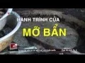 Download Lagu NKVTPB 06/04/2016 | “Rùng Mình” Mỡ Trộn Phân, Hóa Chất... Lên Bàn Ăn | VTV24