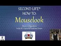 Second Life Viewers Mouselook - The Basics