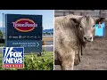 NO OVERSIGHT Texas agriculture commissioner WARNS of AI data center impact