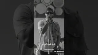                           حليم تاج السر   ستورم دندنها