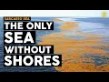 Sargasso Sea Mystery - Why this Sea has no coastline Why on Earth
