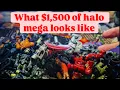 Massive 1500 eBay Halo Mega Haul