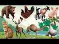 Download Lagu Bustling animal world sounds around us: Duck, Chicken, Goat, Pig, Bear, Camel, Moose, Cat