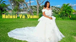 Bhulugu Malaika Halusi Ya Vumi Officeall Video 4K 