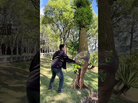 Hidden traps #Creating audio on TikTok #Xiangsu App #Magic Tree