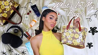 What's In My Bag!