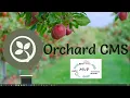 Download Lagu Orchard Core Minimum Viable Product