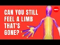 Download Lagu Can you still feel a limb that's gone? - Joshua W. Pate