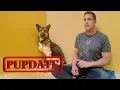 Here s what happened the German Shepherd in the Shelter for over 365 Days Pupdate for Wang more