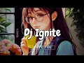 Download Lagu Dj Ignite Breakbeat 2024 Full Bass ( Music Fun )